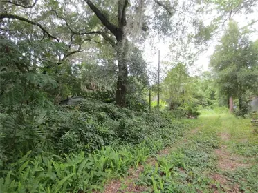 SILVER SPRINGS FL Property