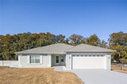 SUMMERFIELD FL Home