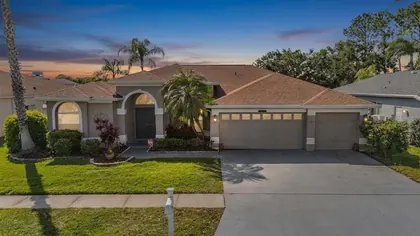ODESSA FL Home