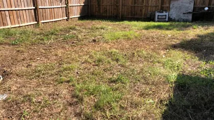 DADE CITY FL Property