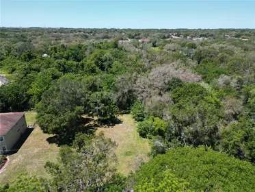 SAFETY HARBOR FL Property