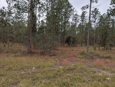 DUNNELLON FL Property