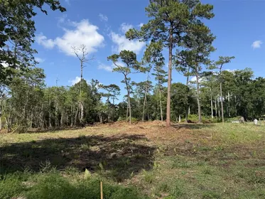 CHRISTMAS FL Property