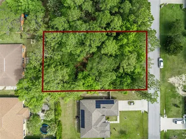 PALM COAST FL Property