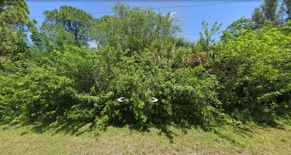 ENGLEWOOD FL Property