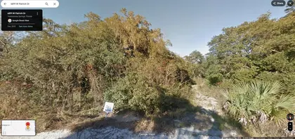 HOMOSASSA FL Property