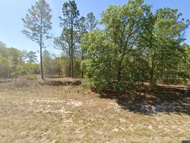 CITRUS SPRINGS FL Property