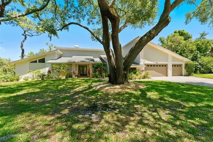 DUNEDIN FL Home