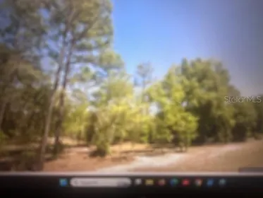 DUNNELLON FL Property