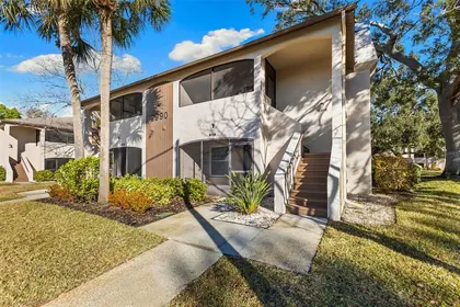PALM HARBOR FL Home