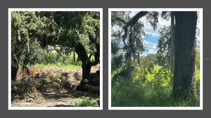 APOPKA FL Property