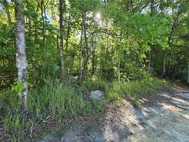 BELLEVIEW FL Property