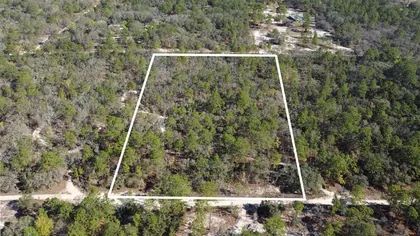 HOMOSASSA FL Property