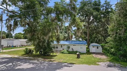 LAKE PANASOFFKEE FL Home