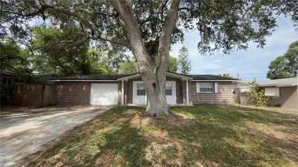 HOLIDAY FL Home