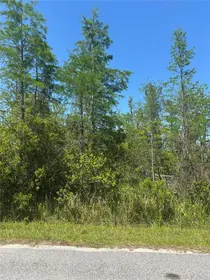 ST CLOUD FL Property