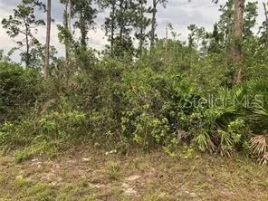 OKEECHOBEE FL Property