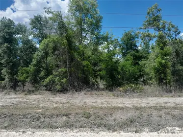 WILLISTON FL Property