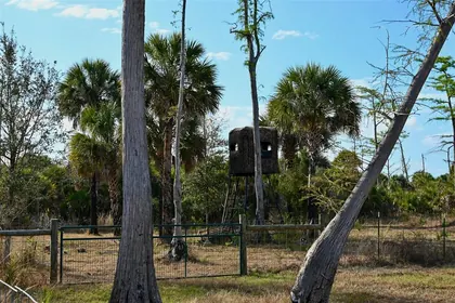 NAPLES FL Property