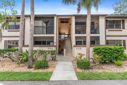 PORT CHARLOTTE FL Home