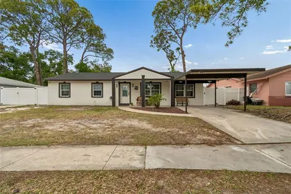TAMPA FL Home