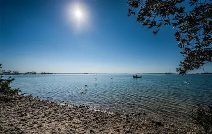 DUNEDIN FL Home