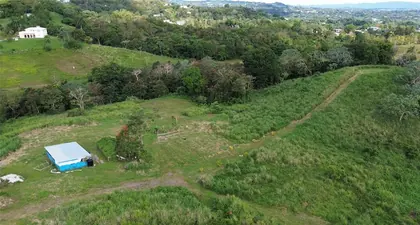 HUMACAO PR Property