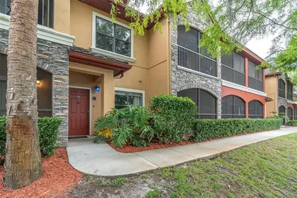 PALM HARBOR FL Home