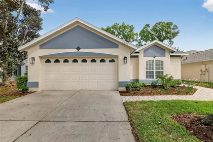 MOUNT DORA FL Home