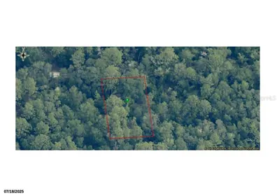 DUNNELLON FL Property