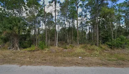 LEHIGH ACRES FL Property