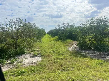 ARCADIA FL Property