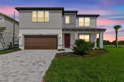 WESLEY CHAPEL FL Home