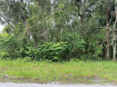 DELAND FL Property