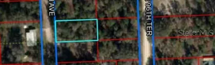 BRONSON FL Property