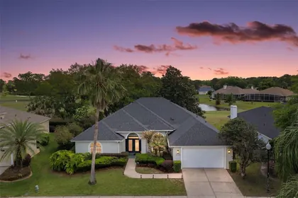 MOUNT DORA FL Home