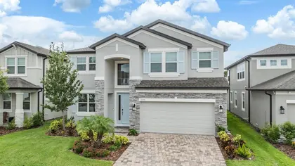 WESLEY CHAPEL FL Home