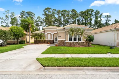 NEW SMYRNA BEACH FL Home