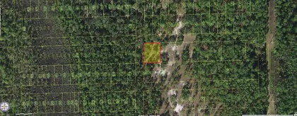 ST CLOUD FL Property