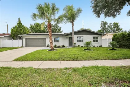 CLEARWATER FL Home