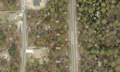 OCKLAWAHA FL Property