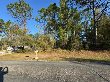 CITRUS SPRINGS FL Property