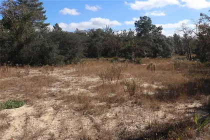 DUNNELLON FL Property