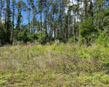 CITRUS SPRINGS FL Property