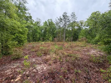HAWTHORNE FL Property