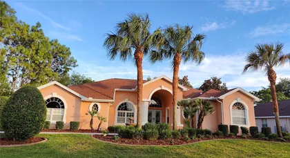 SPRING HILL FL Home
