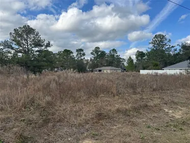 CITRUS SPRINGS FL Property