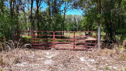 WEBSTER FL Property