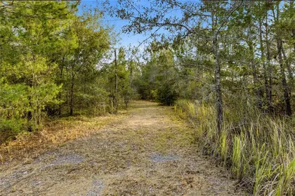 BROOKSVILLE FL Property