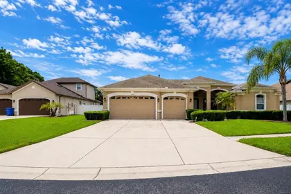 WESLEY CHAPEL FL Home
